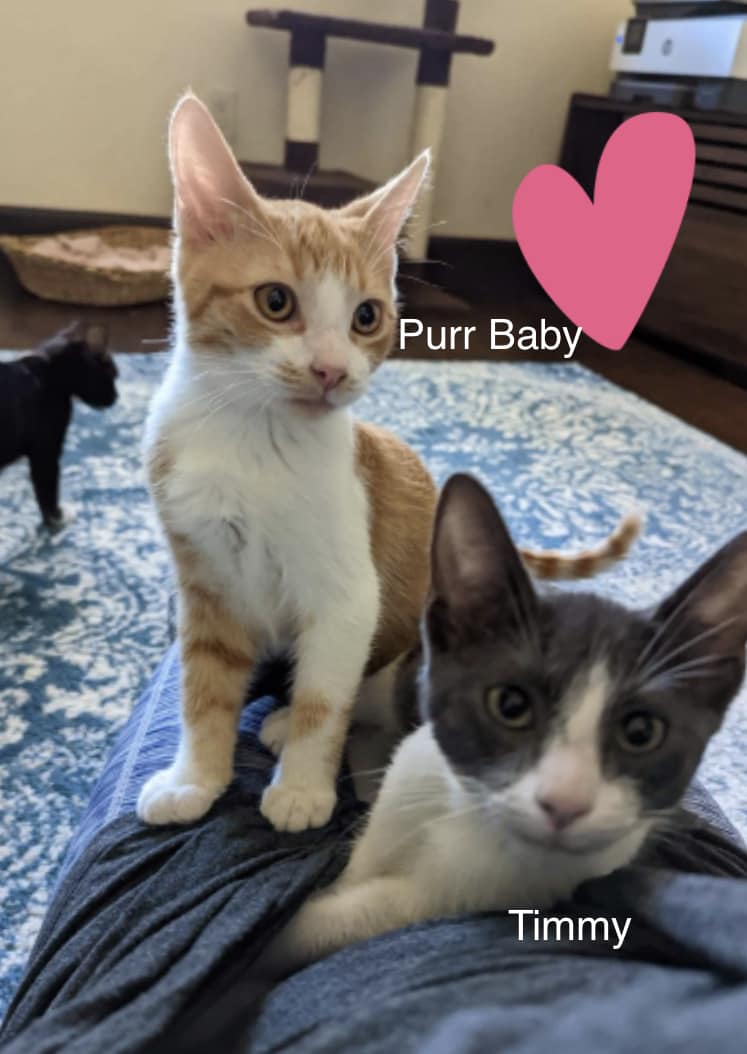 Timmy and Purr Baby